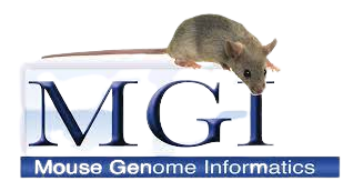 Mouse Genome informatics